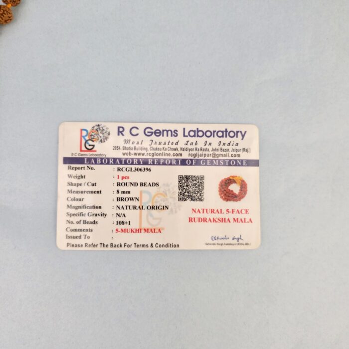 8mm Certified Natural Rudraksha Mala - Image 5